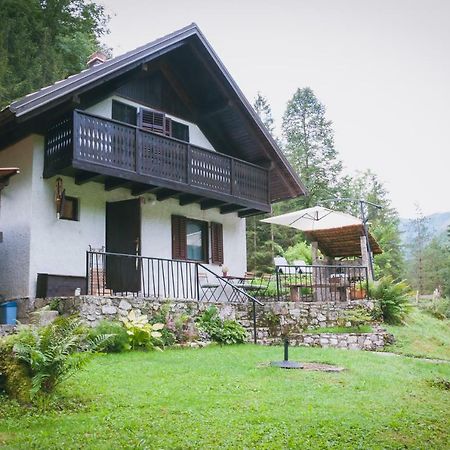 Naturalina Holiday House Gorenja Trebusa Kültér fotó