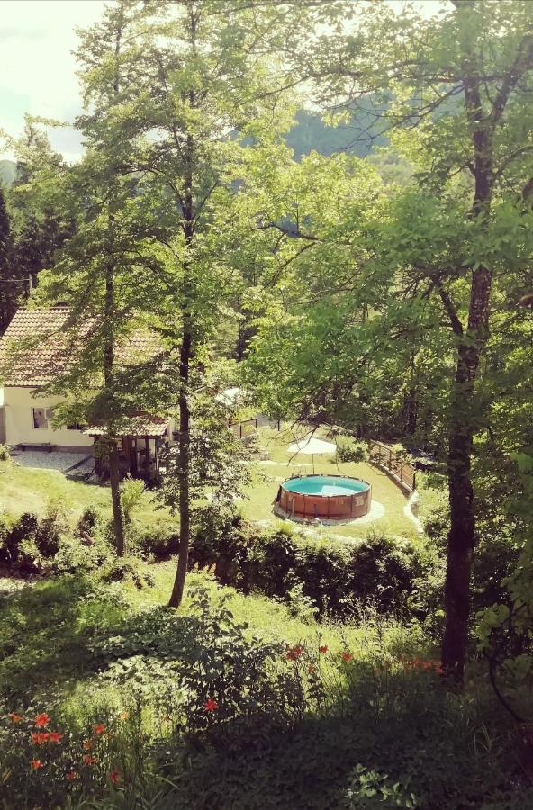 Naturalina Holiday House Gorenja Trebusa Kültér fotó