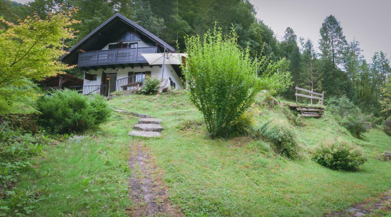 Naturalina Holiday House Gorenja Trebusa Kültér fotó