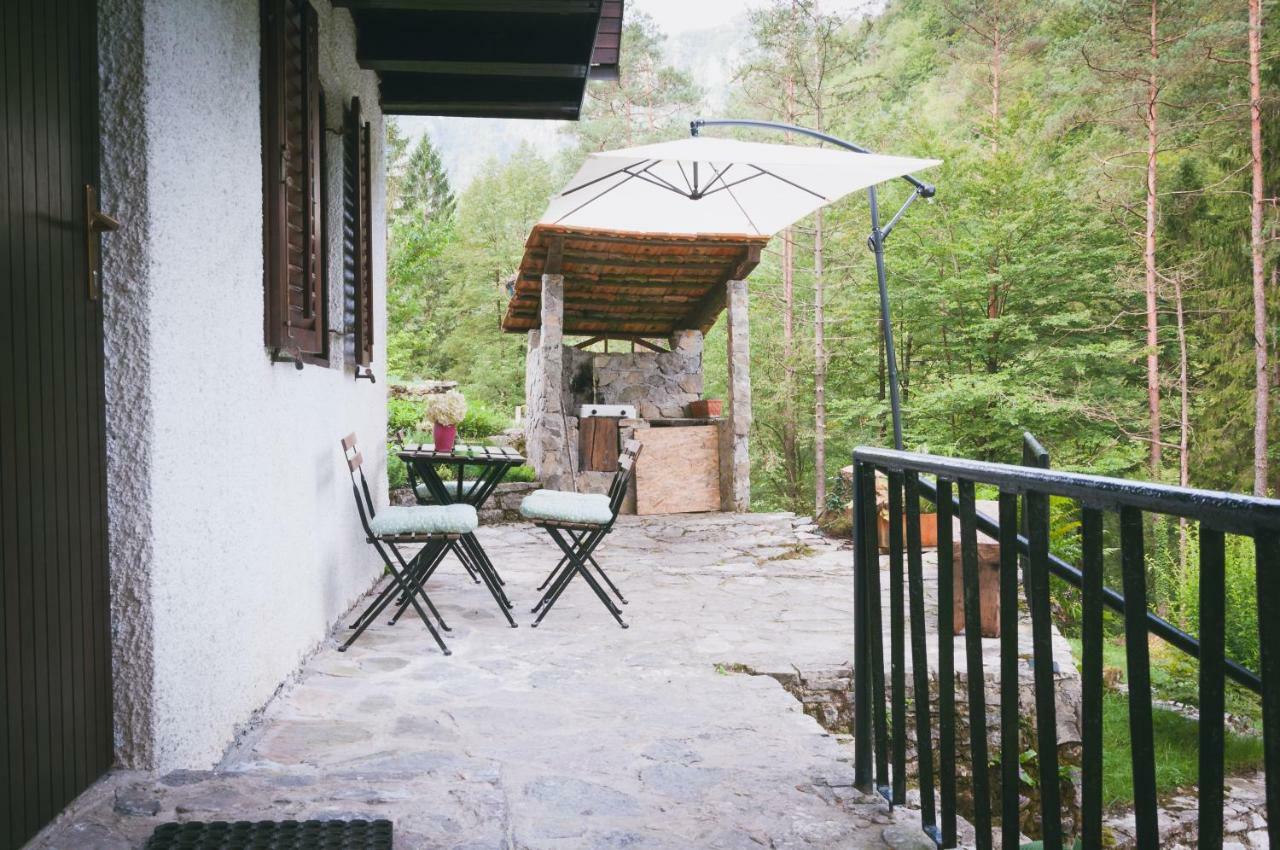 Naturalina Holiday House Gorenja Trebusa Kültér fotó