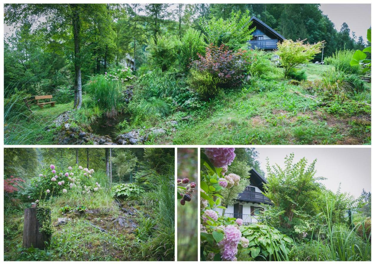 Naturalina Holiday House Gorenja Trebusa Kültér fotó